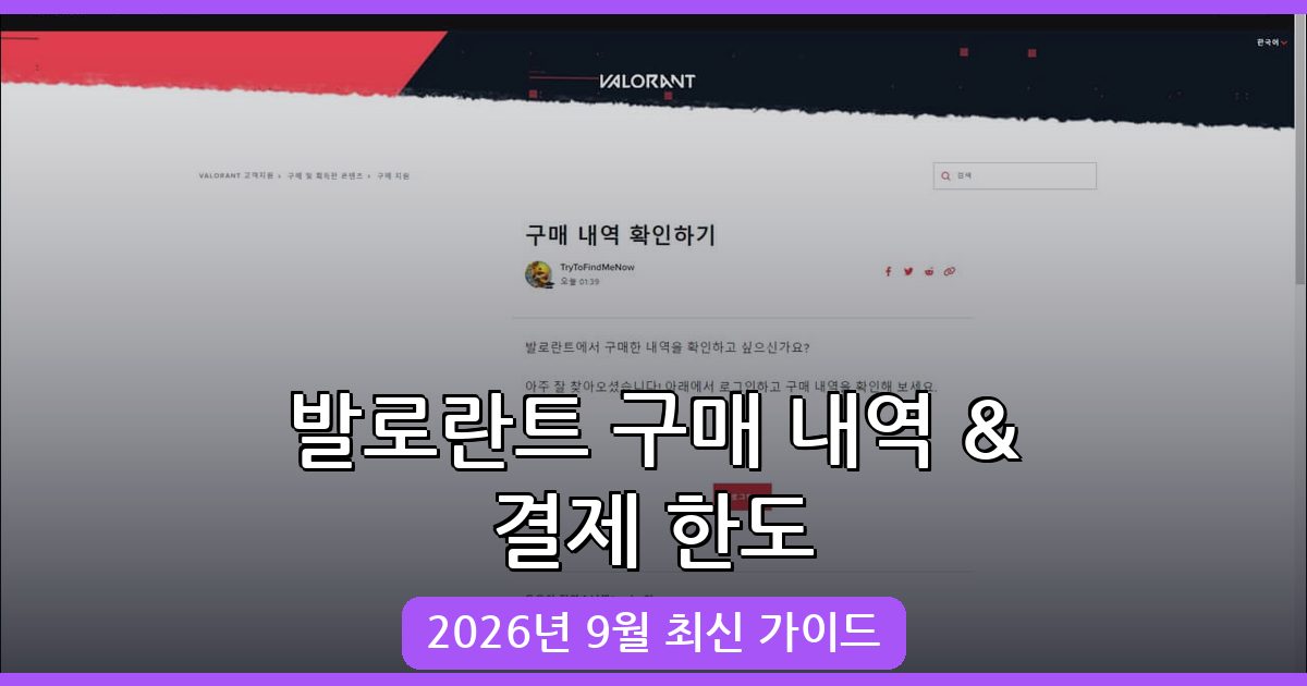 2026년 9월 발로란트 구매 내역 및 월별 결제 한도 완벽 가이드
