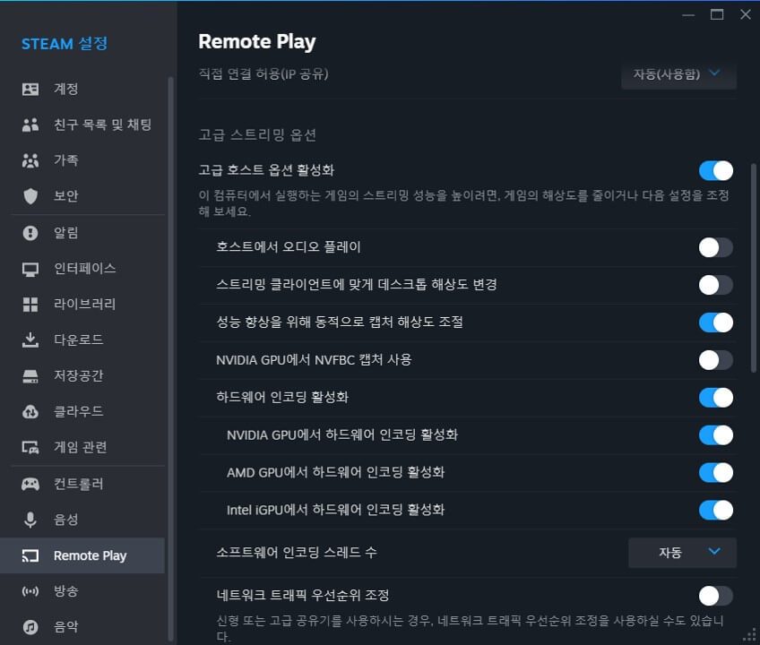 Steam Remote Play 게임 스크린샷 3