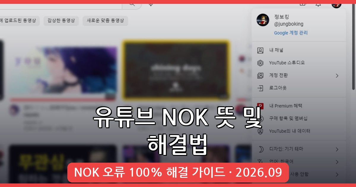 2026년 9월 유튜브 NOK 뜻과 완벽 해결 방법 총정리