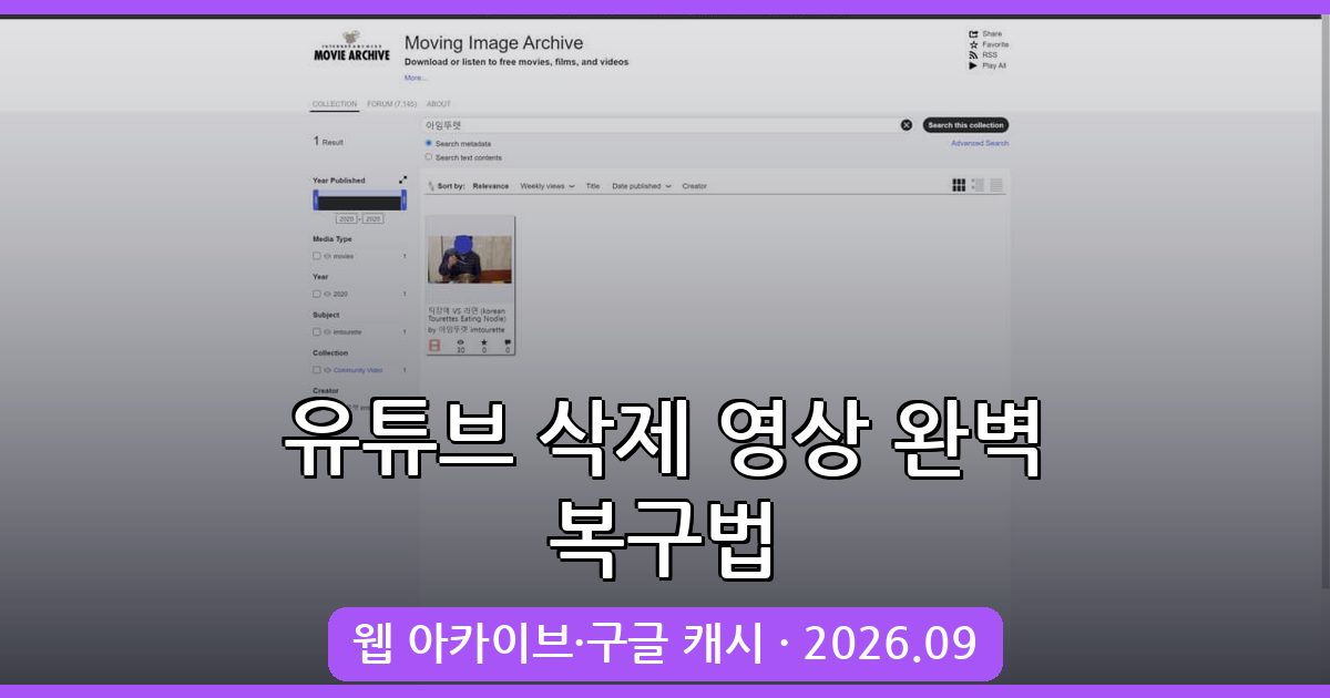 2026년 9월 최신 유튜브 삭제된 동영상 보는 완벽 가이드