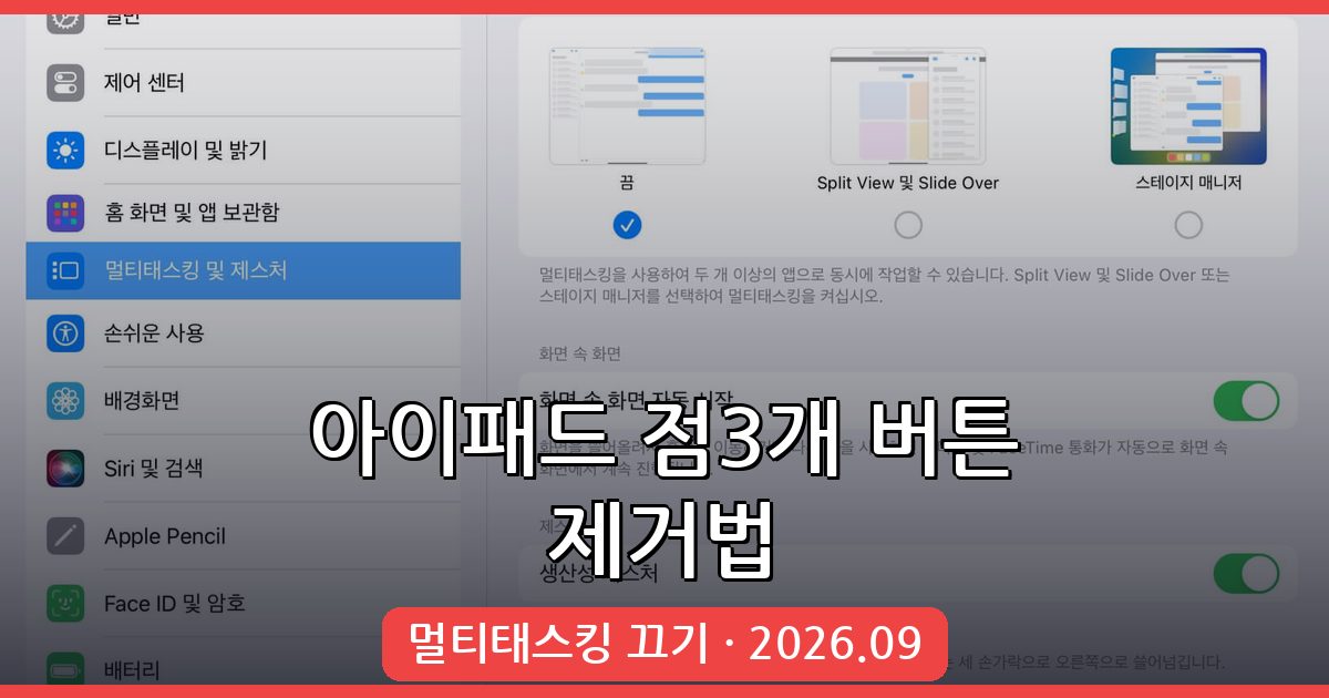 2026년 9월 아이패드 멀티태스킹 점3개 버튼 없애는 법 총정리