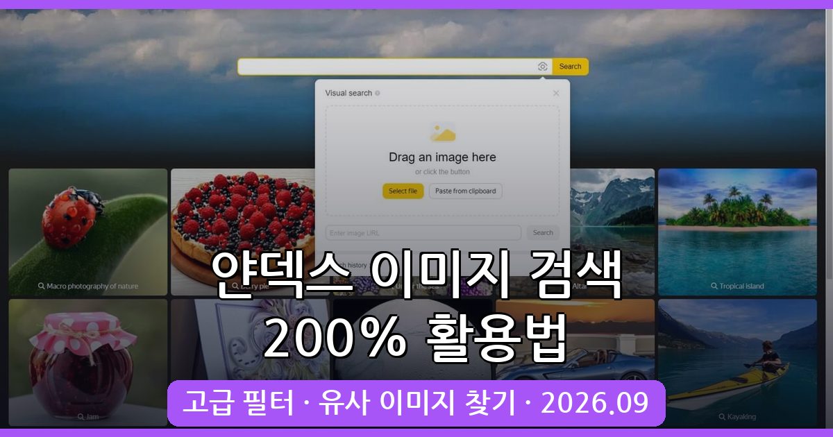 2026년 9월 최신 얀덱스(Yandex) 이미지 검색 200% 활용법 완벽 가이드